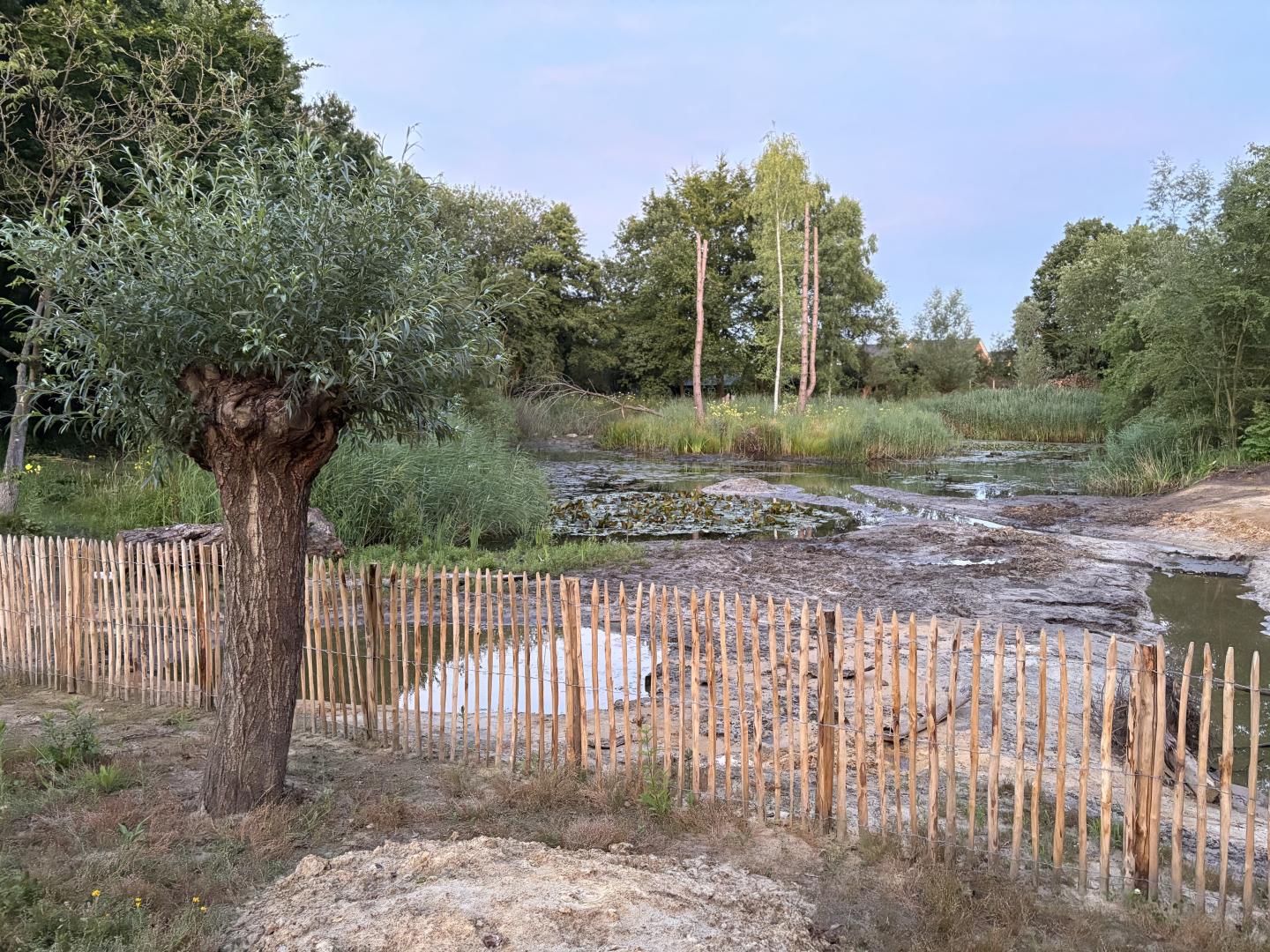 Creatie plas/dras